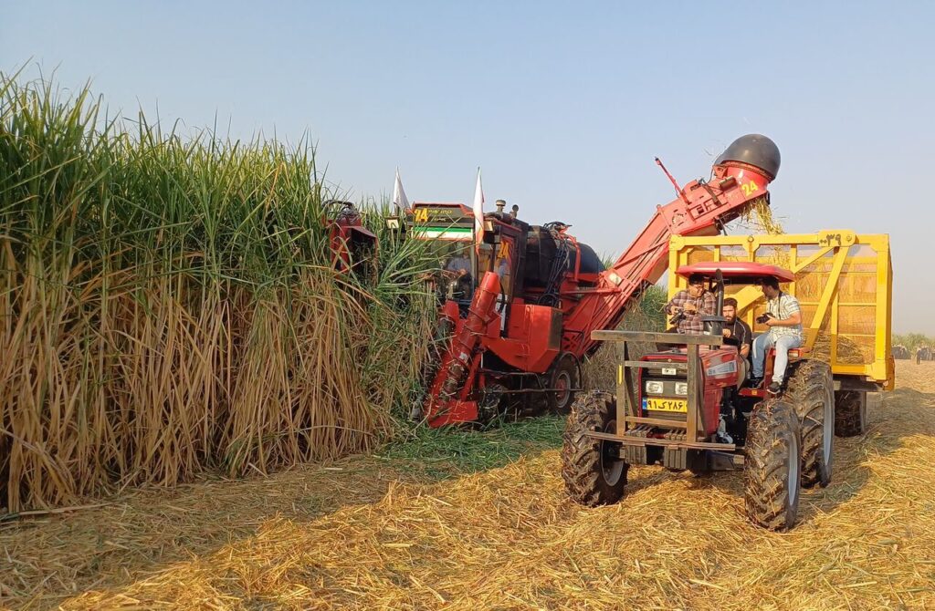 ۴۰درصد شکر مورد نیاز کشور ازخوزستان تامین می‌شود
